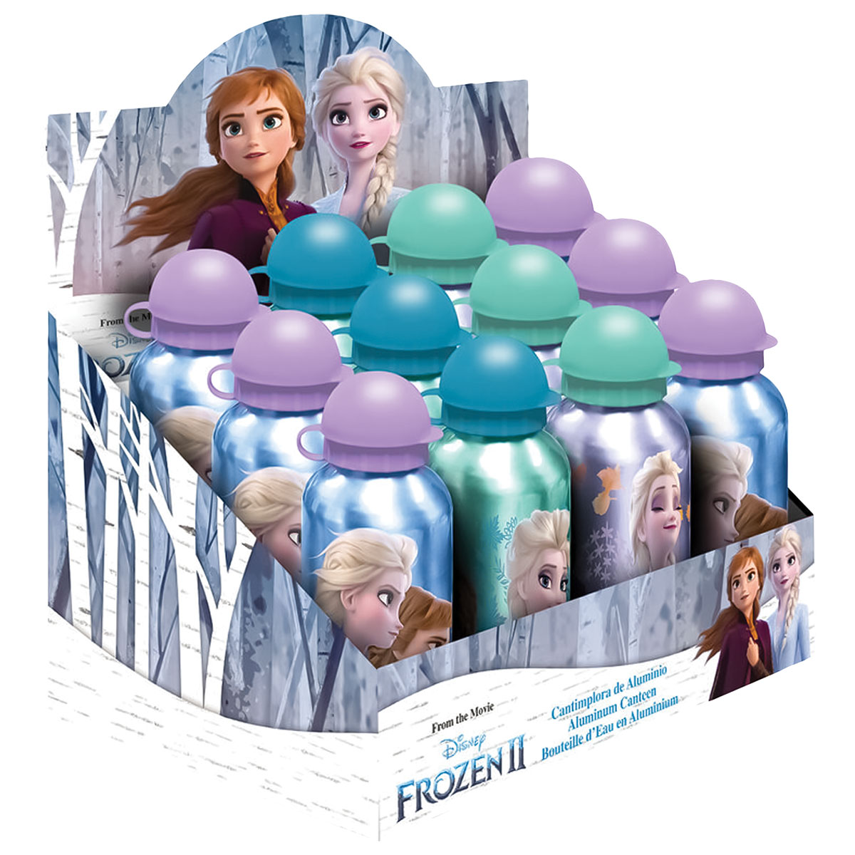 FROZEN-DESTINY-Cantil de Aluminio 500ml