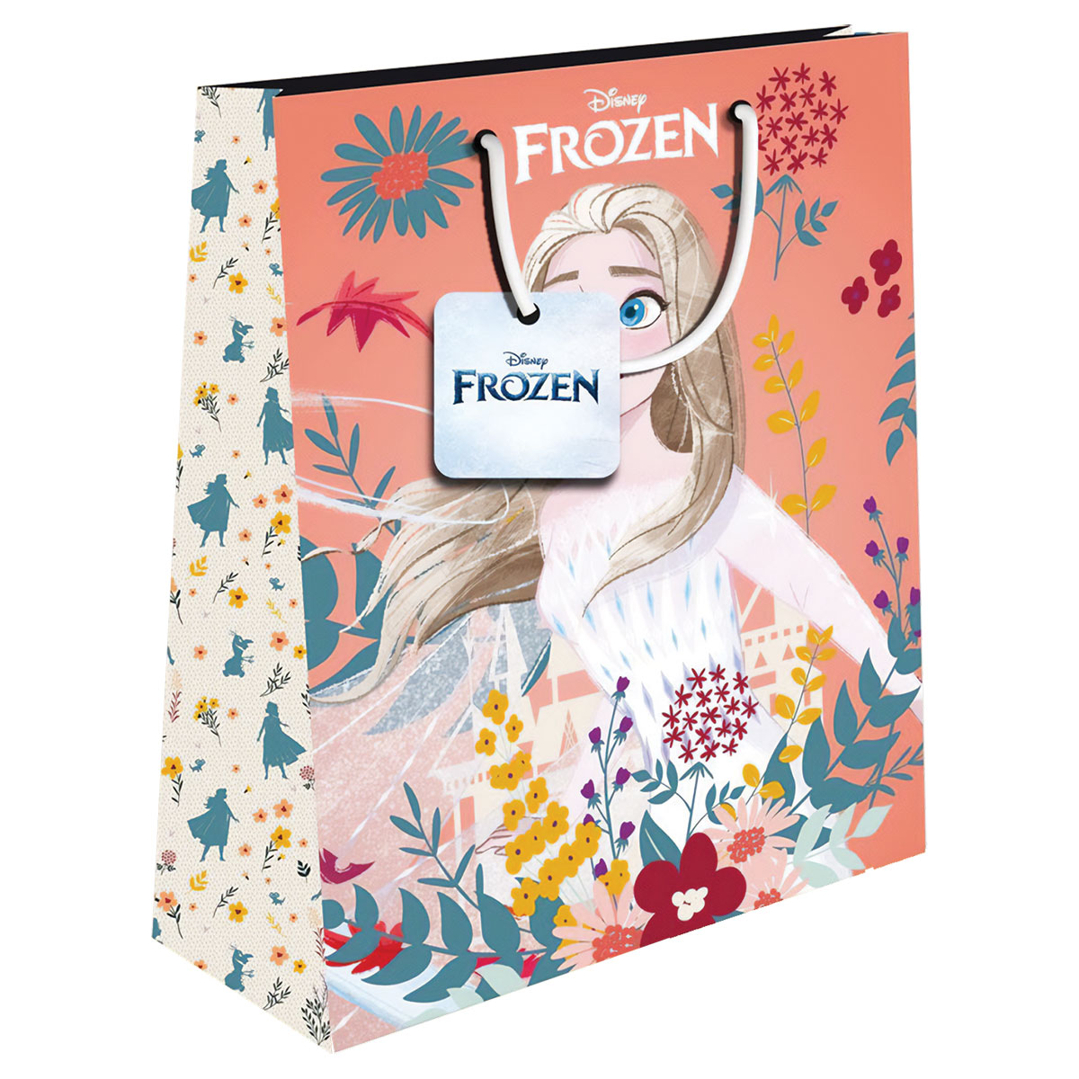 FROZEN-Saco Prenda-Médio-26x32x12cm-2 Designs